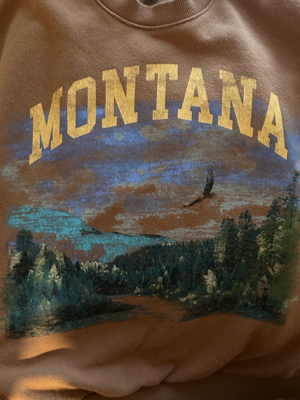 Montana Graphic Crewneck Sweatshirt - Brown xs - Picture 4 of 7